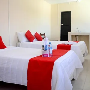 https://hotel-rosa-del-alba.quintano-roohotels.com